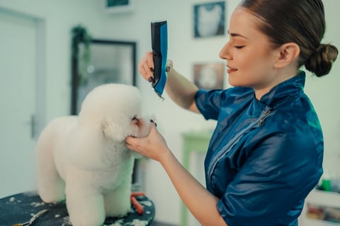 Lakeside Pet Grooming website design