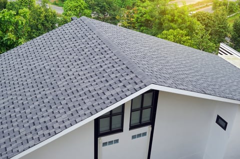 Modern gray asphalt shingle roof on house with green trees